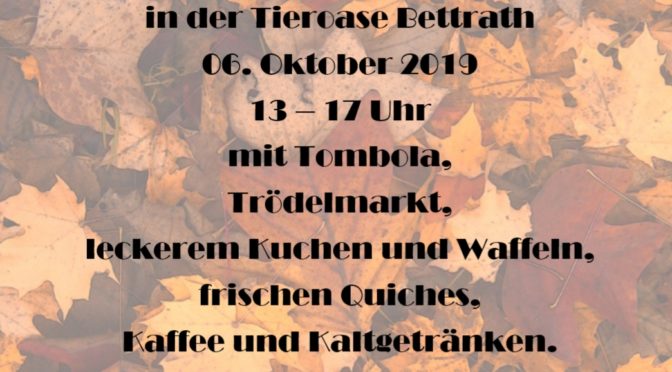 Herbstfest 2019