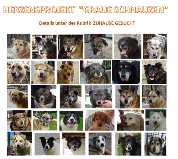 Dieses Bild hat ein leeres Alt-Attribut. Der Dateiname ist image-6.png
