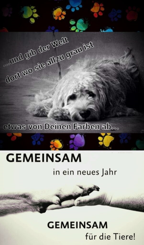 Dieses Bild hat ein leeres Alt-Attribut. Der Dateiname ist image-220.png