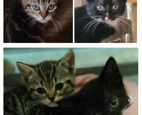 Marco, Moses, Mona & Melly