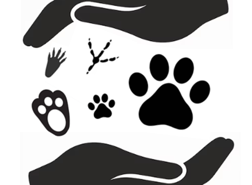 Belastbarkeitsgrenzen von Tierschützern